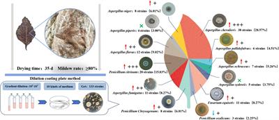 Analyzing the quality differences between healthy and moldy cigar tobacco leaves during the air-curing process through fungal communities and physicochemical components